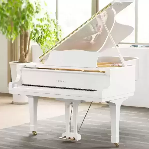 Nhà cung cấp đàn piano độc lập lớn nhất miền Nam